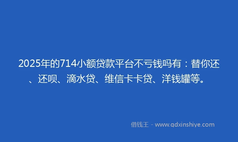 2025年的714小额贷款平台不亏钱吗有：替你还、还呗、滴水贷、维信卡卡贷、洋钱罐等。