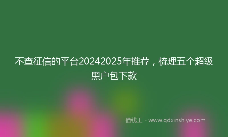 不查征信的平台20242025年推荐，梳理五个超级黑户包下款