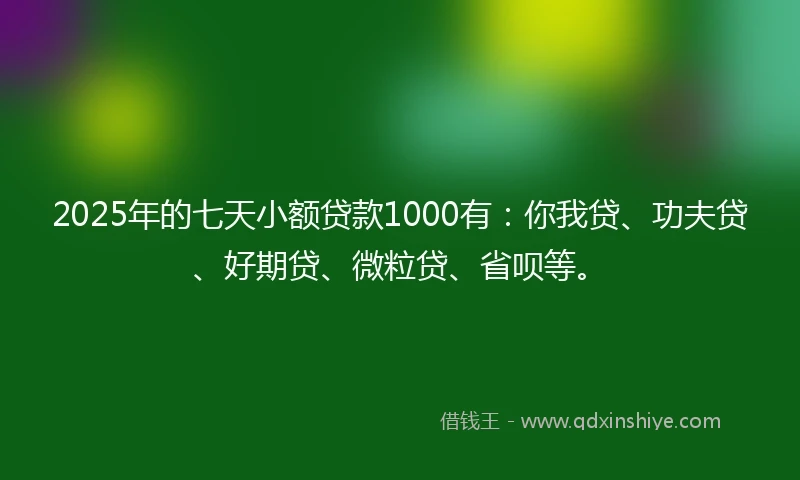 2025年的七天小额贷款1000有：你我贷、功夫贷、好期贷、微粒贷、省呗等。