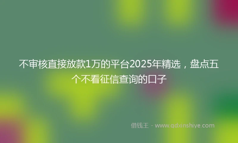 不审核直接放款1万的平台2025年精选，盘点五个不看征信查询的口子