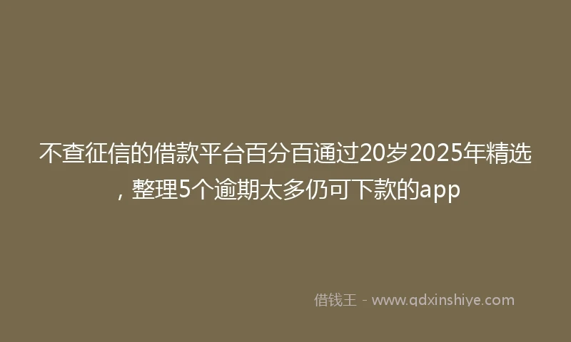 不查征信的借款平台百分百通过20岁2025年精选，整理5个逾期太多仍可下款的app