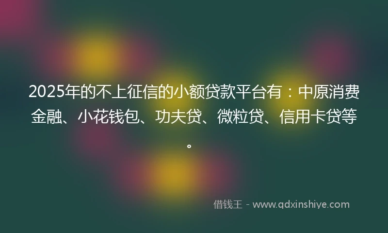 2025年的不上征信的小额贷款平台有：中原消费金融、小花钱包、功夫贷、微粒贷、信用卡贷等。