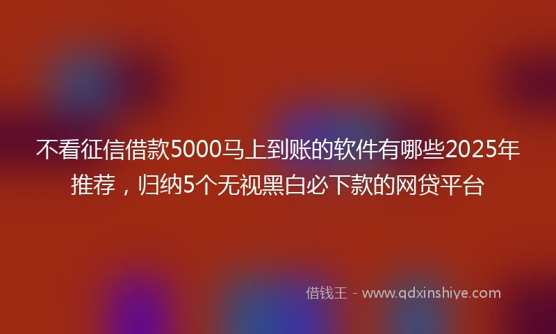 不看征信借款5000马上到账的软件有哪些2025年推荐,归纳5个无视黑白必下款的网贷平台