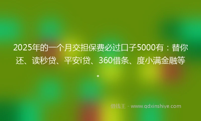 2025年的一个月交担保费必过口子5000有：替你还、读秒贷、平安i贷、360借条、度小满金融等。