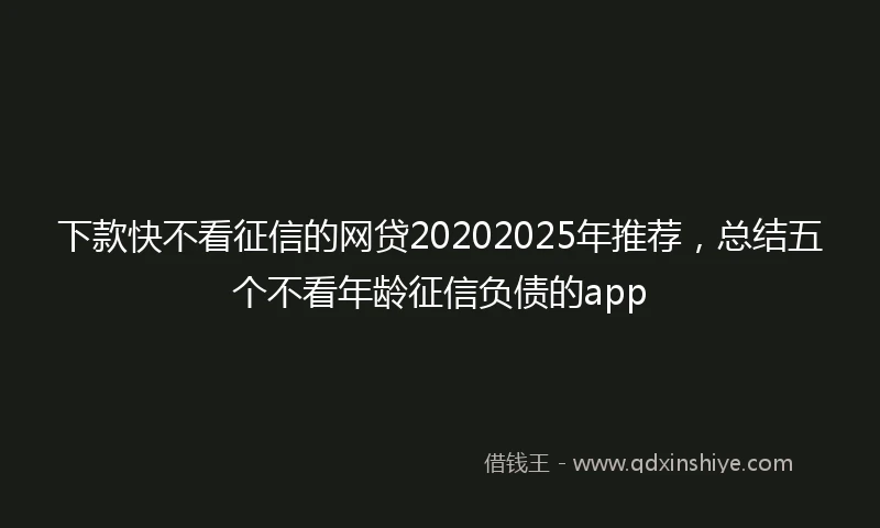 下款快不看征信的网贷20202025年推荐，总结五个不看年龄征信负债的app
