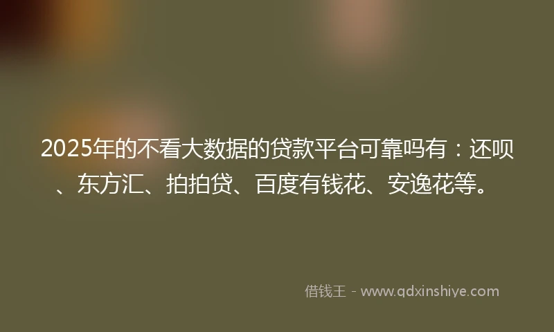 2025年的不看大数据的贷款平台可靠吗有：还呗、东方汇、拍拍贷、百度有钱花、安逸花等。