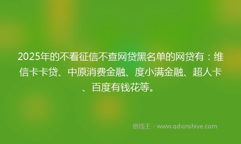 2025年的不看征信不查网贷黑名单的网贷有：维信卡卡贷、中原消费金融、度小满金融、超人卡、百度有钱花等。