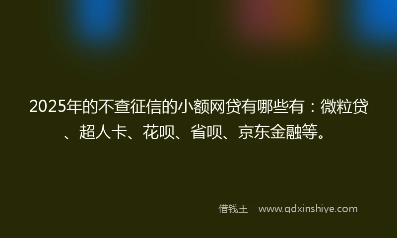 2025年的不查征信的小额网贷有哪些有：微粒贷、超人卡、花呗、省呗、京东金融等。