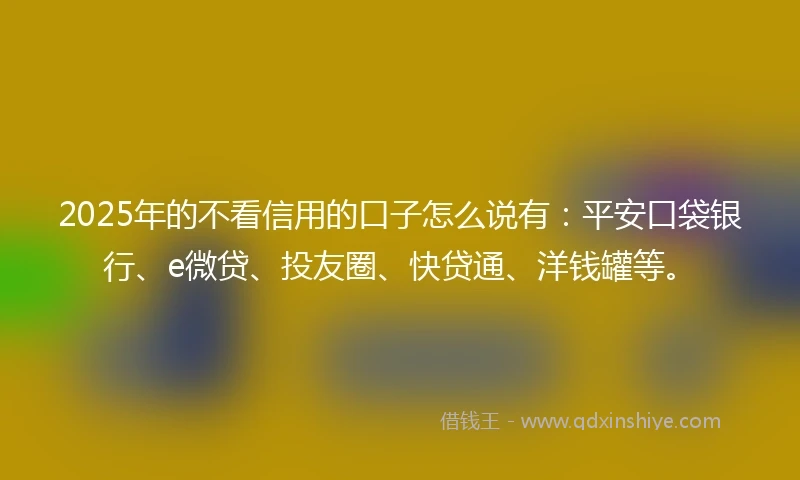 2025年的不看信用的口子怎么说有：平安口袋银行、e微贷、投友圈、快贷通、洋钱罐等。