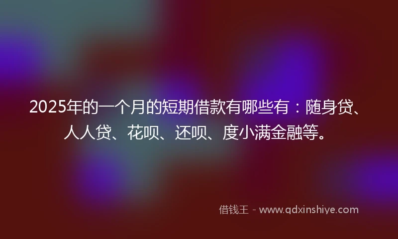 2025年的一个月的短期借款有哪些有：随身贷、人人贷、花呗、还呗、度小满金融等。