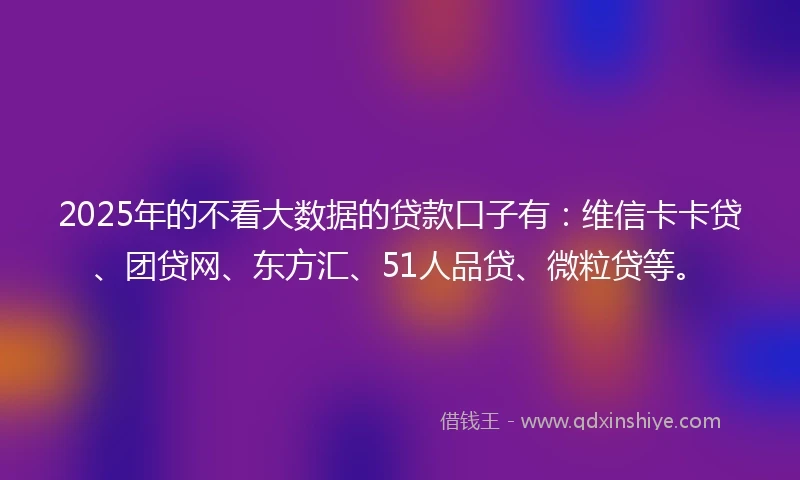 2025年的不看大数据的贷款口子有：维信卡卡贷、团贷网、东方汇、51人品贷、微粒贷等。