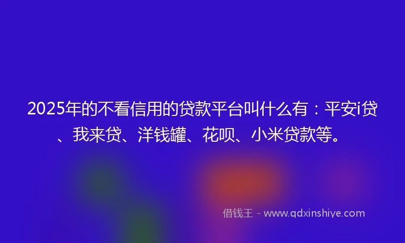 2025年的不看信用的贷款平台叫什么有：平安i贷、我来贷、洋钱罐、花呗、小米贷款等。