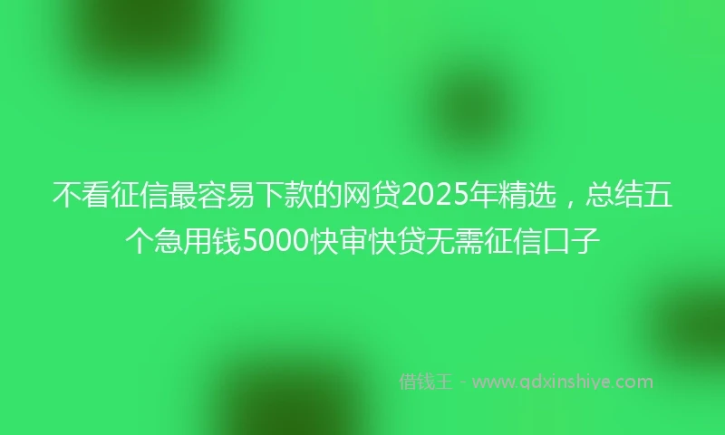 不看征信最容易下款的网贷2025年精选，总结五个急用钱5000快审快贷无需征信口子
