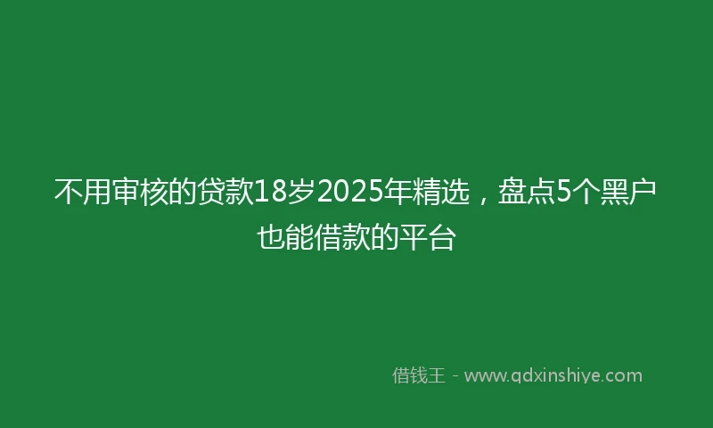 不用审核的贷款18岁2025年精选，盘点5个黑户也能借款的平台
