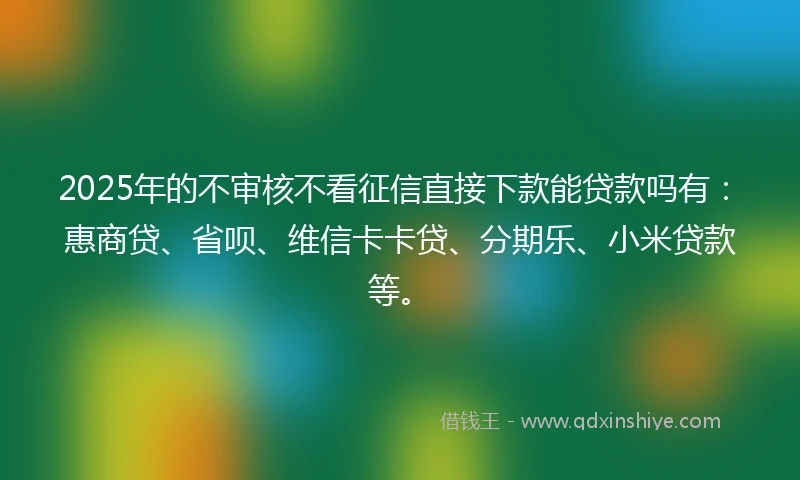 2025年的不审核不看征信直接下款能贷款吗有：惠商贷、省呗、维信卡卡贷、分期乐、小米贷款等。