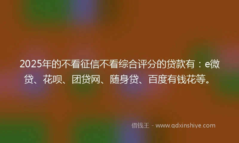 2025年的不看征信不看综合评分的贷款有：e微贷、花呗、团贷网、随身贷、百度有钱花等。