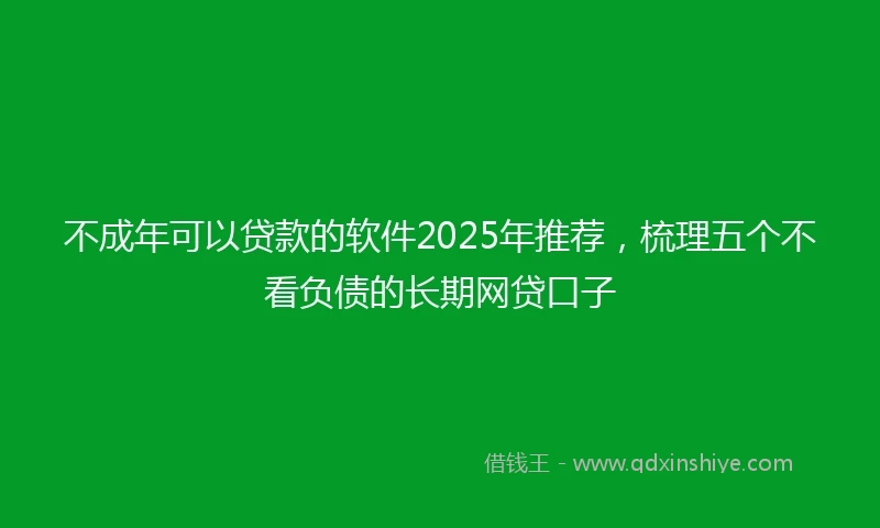 不成年可以贷款的软件2025年推荐，梳理五个不看负债的长期网贷口子