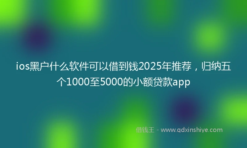 ios黑户什么软件可以借到钱2025年推荐，归纳五个1000至5000的小额贷款app