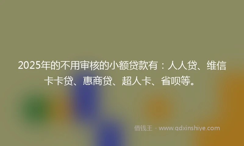 2025年的不用审核的小额贷款有：人人贷、维信卡卡贷、惠商贷、超人卡、省呗等。