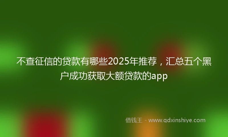 不查征信的贷款有哪些2025年推荐，汇总五个黑户成功获取大额贷款的app