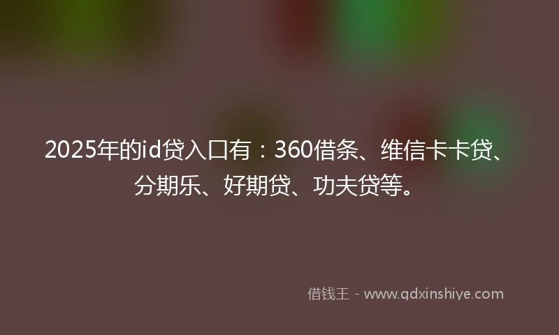 2025年的id贷入口有：360借条、维信卡卡贷、分期乐、好期贷、功夫贷等。