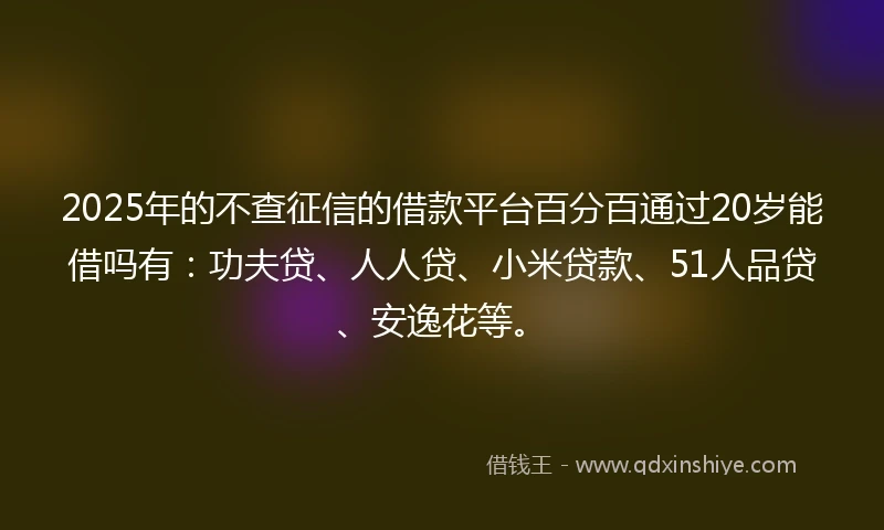 2025年的不查征信的借款平台百分百通过20岁能借吗有：功夫贷、人人贷、小米贷款、51人品贷、安逸花等。