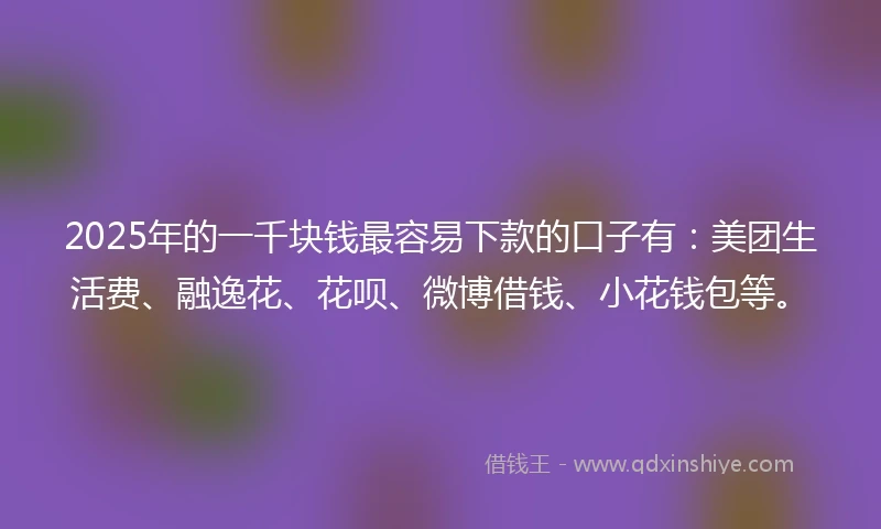 2025年的一千块钱最容易下款的口子有：美团生活费、融逸花、花呗、微博借钱、小花钱包等。