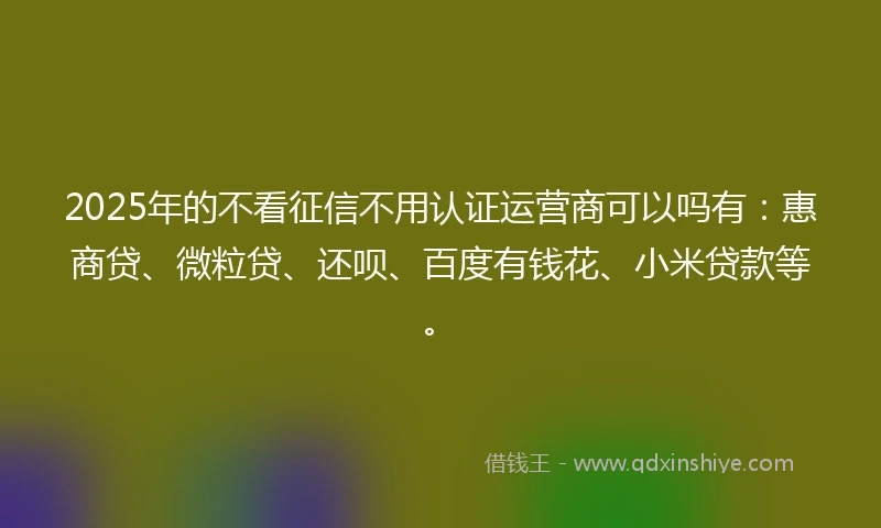 2025年的不看征信不用认证运营商可以吗有：惠商贷、微粒贷、还呗、百度有钱花、小米贷款等。