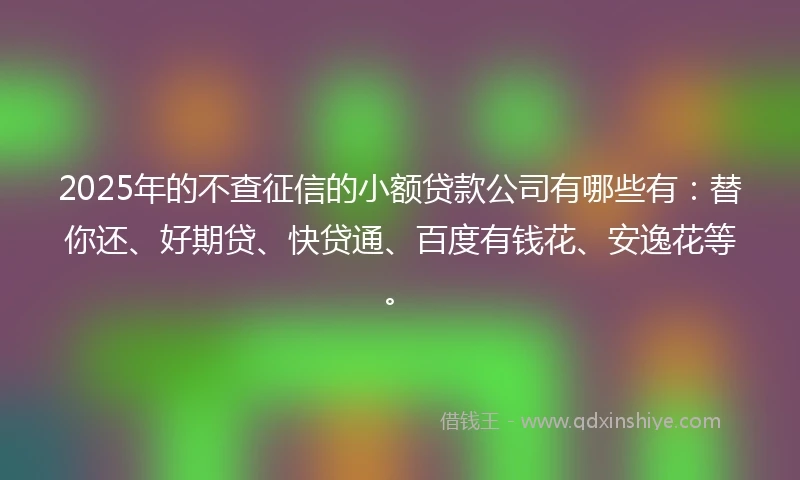 2025年的不查征信的小额贷款公司有哪些有：替你还、好期贷、快贷通、百度有钱花、安逸花等。