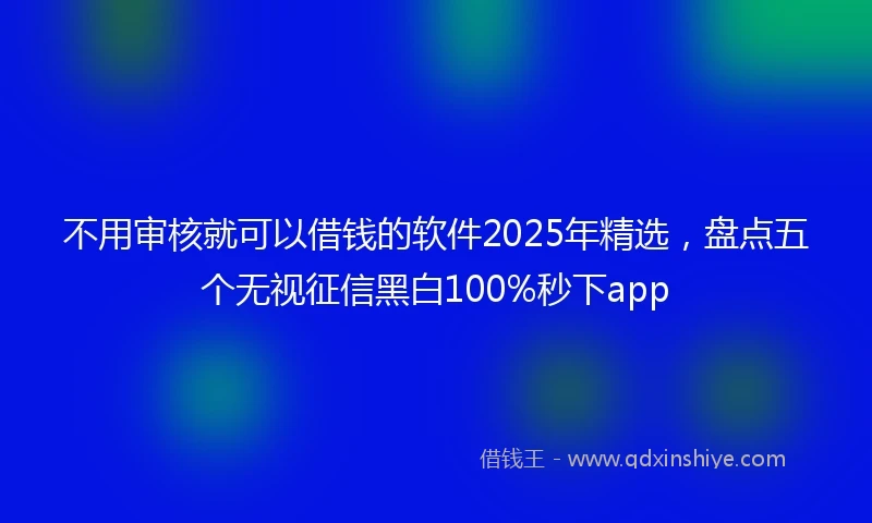 不用审核就可以借钱的软件2025年精选，盘点五个无视征信黑白100%秒下app