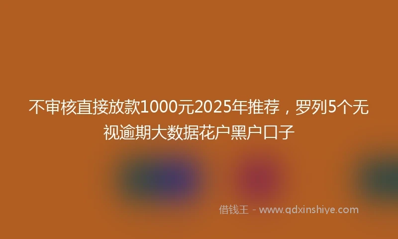 不审核直接放款1000元2025年推荐，罗列5个无视逾期大数据花户黑户口子