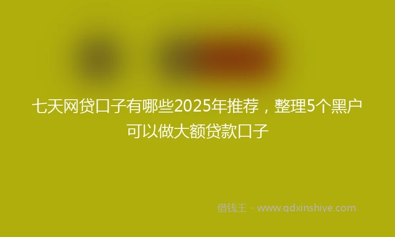 七天网贷口子有哪些2025年推荐，整理5个黑户可以做大额贷款口子
