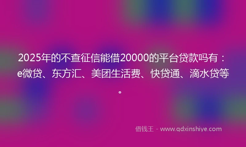 2025年的不查征信能借20000的平台贷款吗有：e微贷、东方汇、美团生活费、快贷通、滴水贷等。