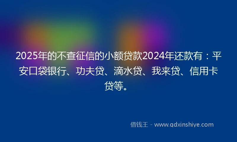 2025年的不查征信的小额贷款2024年还款有：平安口袋银行、功夫贷、滴水贷、我来贷、信用卡贷等。