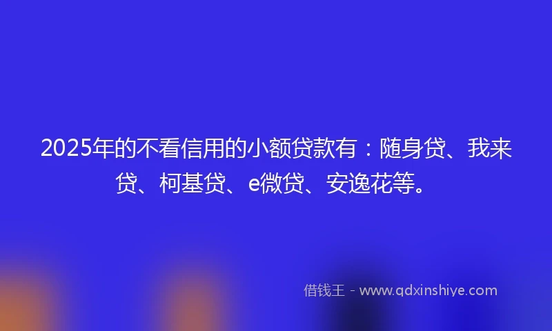 2025年的不看信用的小额贷款有：随身贷、我来贷、柯基贷、e微贷、安逸花等。