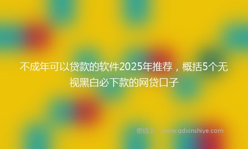 不成年可以贷款的软件2025年推荐，概括5个无视黑白必下款的网贷口子