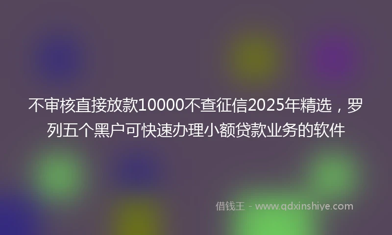 不审核直接放款10000不查征信2025年精选，罗列五个黑户可快速办理小额贷款业务的软件