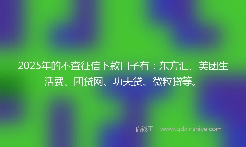 2025年的不查征信下款口子有：东方汇、美团生活费、团贷网、功夫贷、微粒贷等。