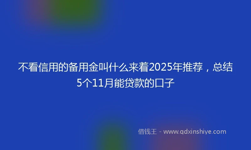 不看信用的备用金叫什么来着2025年推荐，总结5个11月能贷款的口子