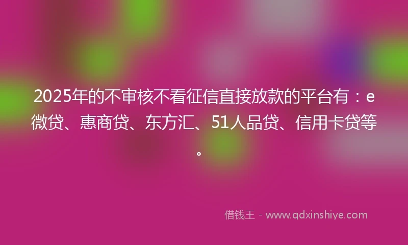 2025年的不审核不看征信直接放款的平台有：e微贷、惠商贷、东方汇、51人品贷、信用卡贷等。