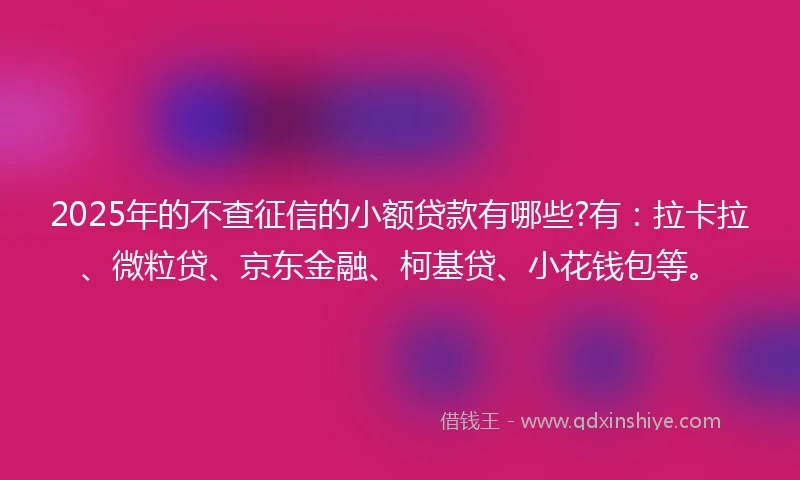 2025年的不查征信的小额贷款有哪些?有:拉卡拉、微粒贷、京东金融、柯基贷、小花钱包等。