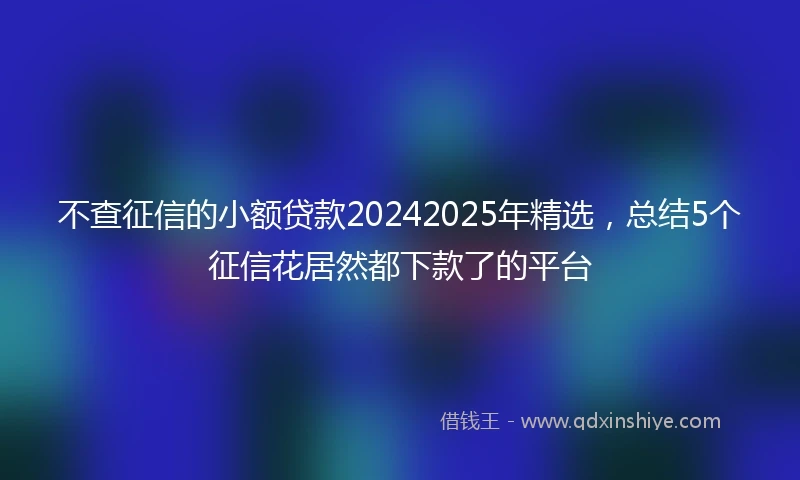 不查征信的小额贷款20242025年精选，总结5个征信花居然都下款了的平台