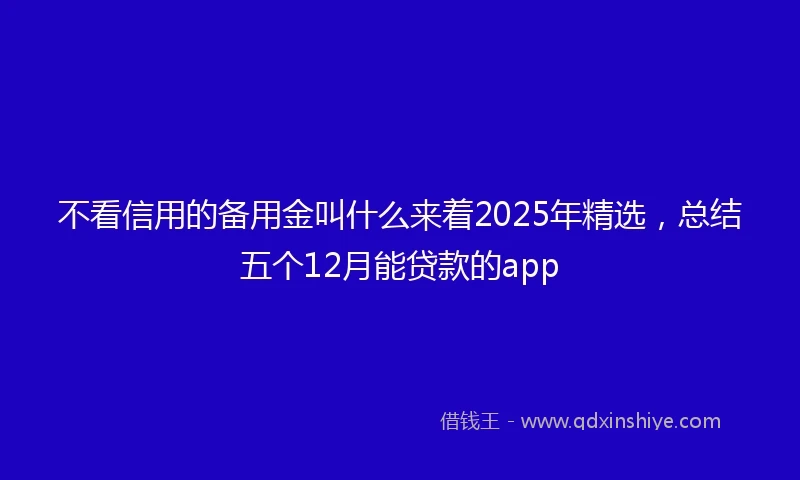 不看信用的备用金叫什么来着2025年精选，总结五个12月能贷款的app