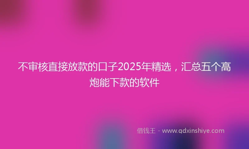 不审核直接放款的口子2025年精选，汇总五个高炮能下款的软件