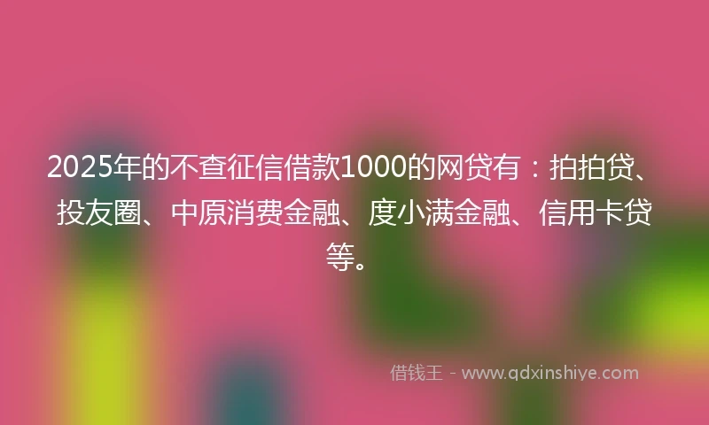 2025年的不查征信借款1000的网贷有：拍拍贷、投友圈、中原消费金融、度小满金融、信用卡贷等。