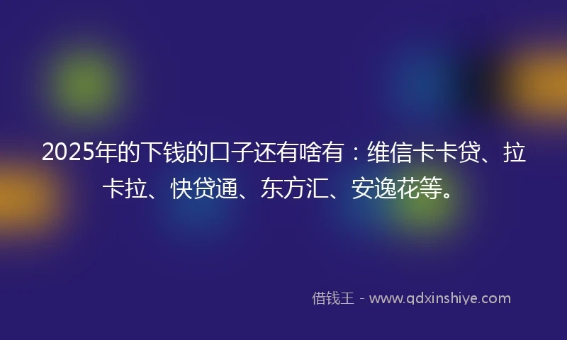 2025年的下钱的口子还有啥有：维信卡卡贷、拉卡拉、快贷通、东方汇、安逸花等。