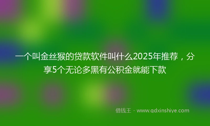 一个叫金丝猴的贷款软件叫什么2025年推荐，分享5个无论多黑有公积金就能下款