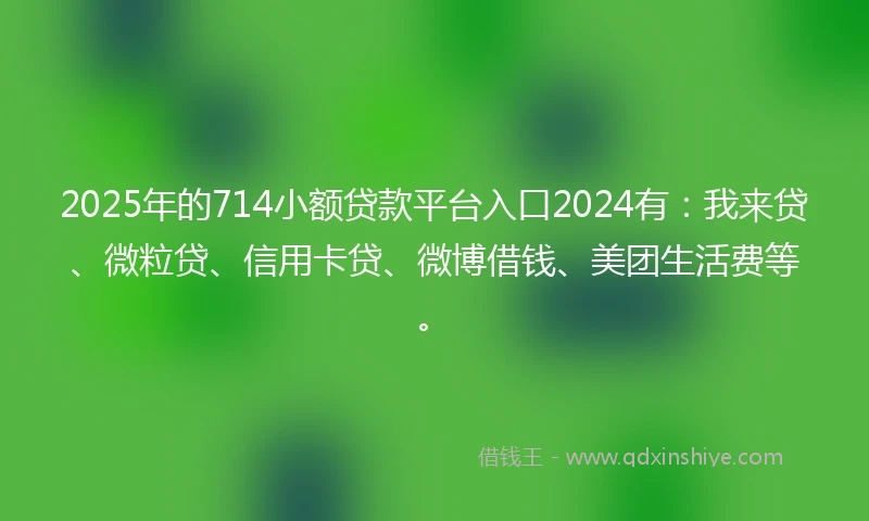 2025年的714小额贷款平台入口2024有：我来贷、微粒贷、信用卡贷、微博借钱、美团生活费等。