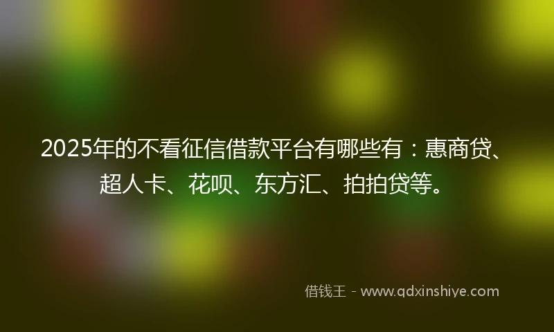2025年的不看征信借款平台有哪些有：惠商贷、超人卡、花呗、东方汇、拍拍贷等。
