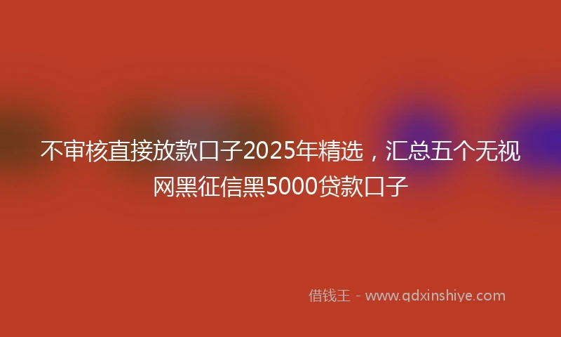 不审核直接放款口子2025年精选，汇总五个无视网黑征信黑5000贷款口子